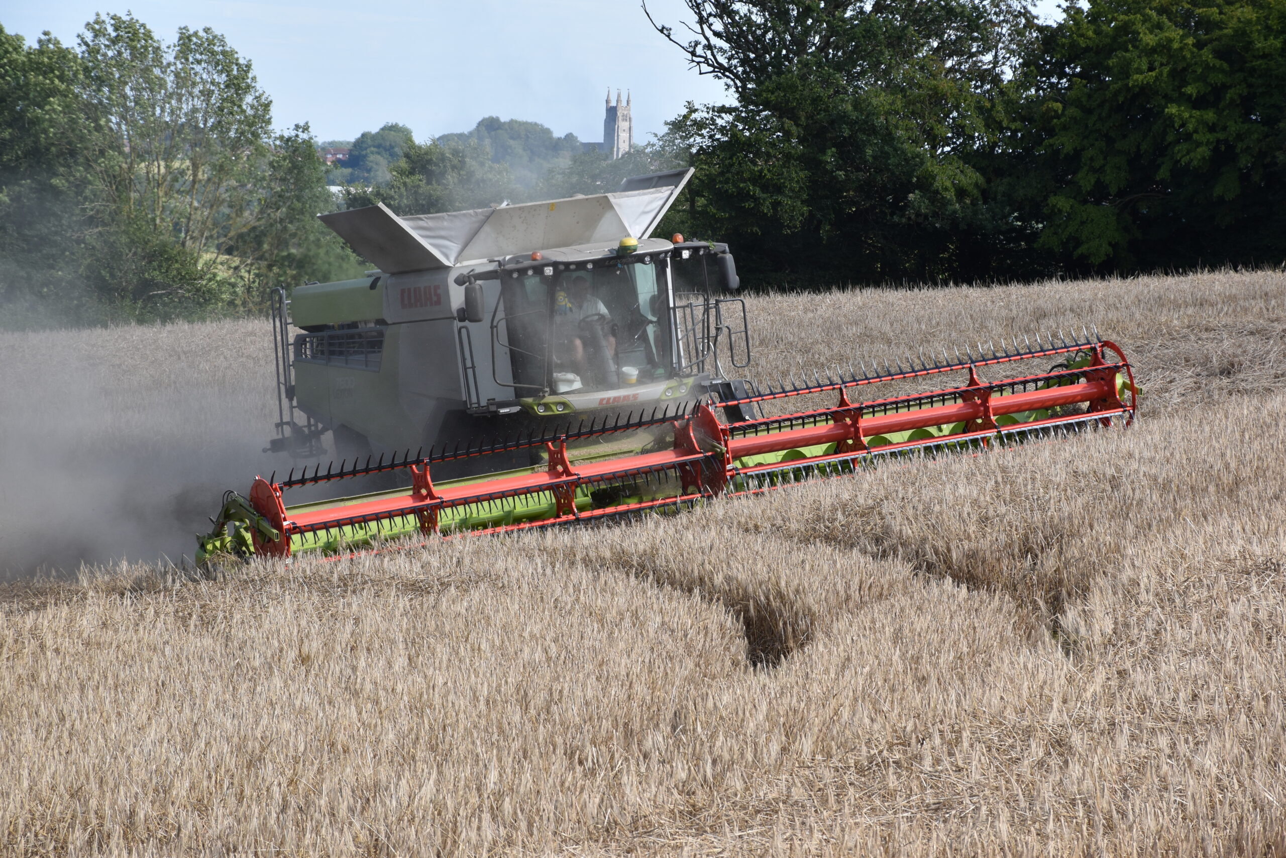 Claas Lexion harvesting Barley