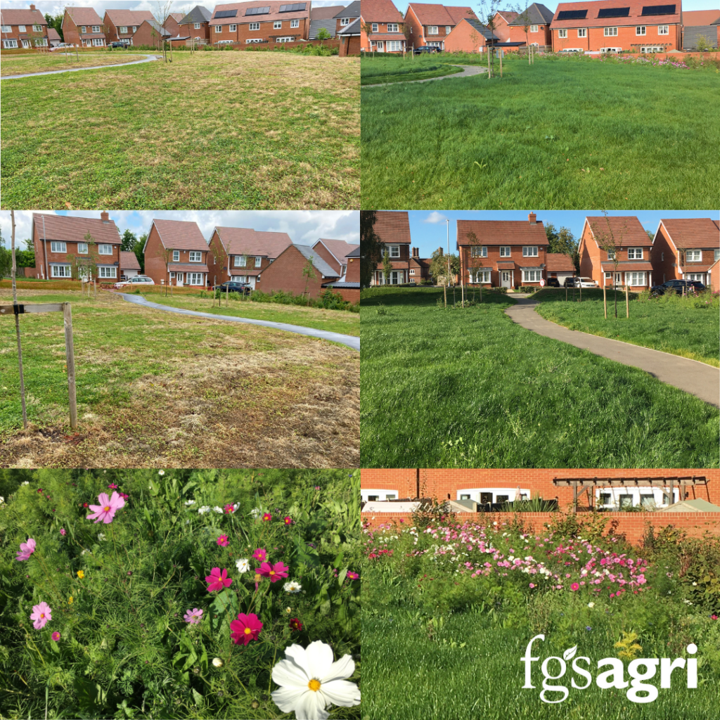 Housing Development Grassland & Wild Flower Management